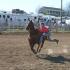 Tennessee Little Britches Rodeo